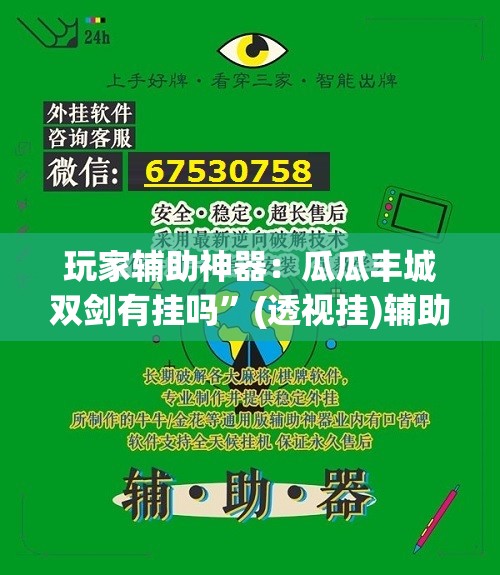 玩家辅助神器：瓜瓜丰城双剑有挂吗”(透视挂)辅助下载教程