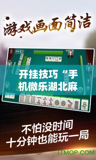开挂技巧“手机微乐湖北麻将开挂辅助器通用版	”2026开挂教程步骤