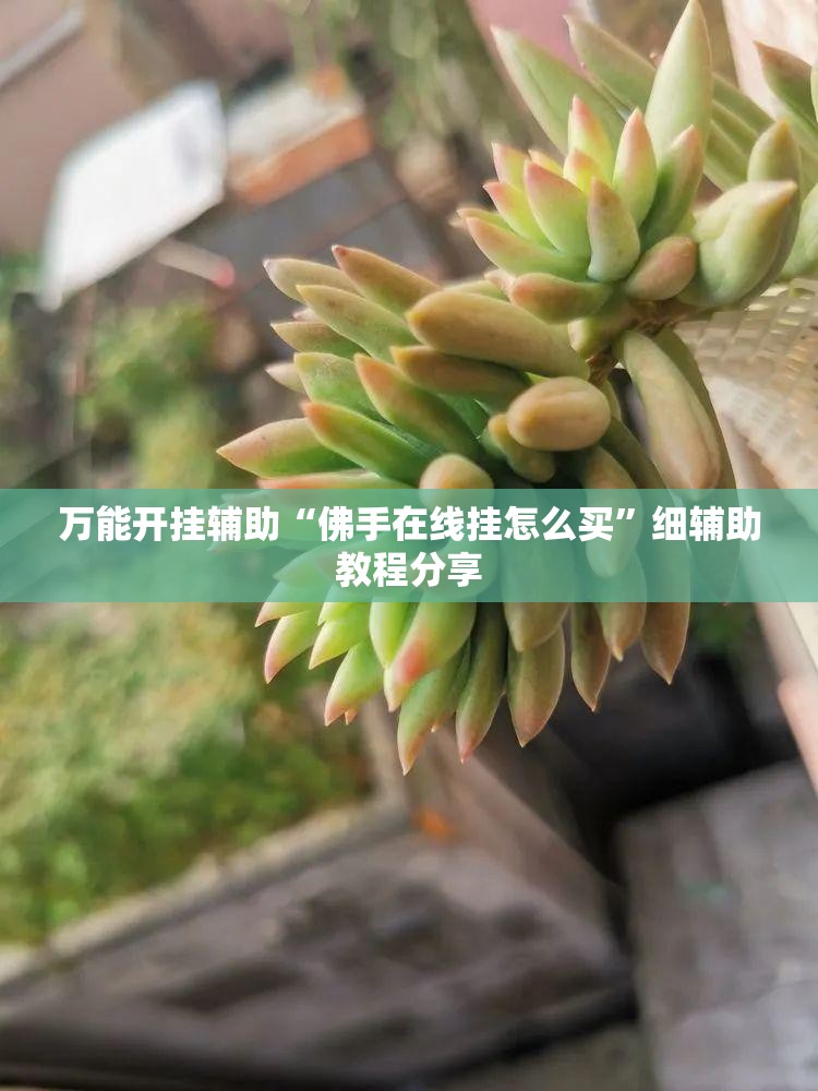 万能开挂辅助“佛手在线挂怎么买”细辅助教程分享