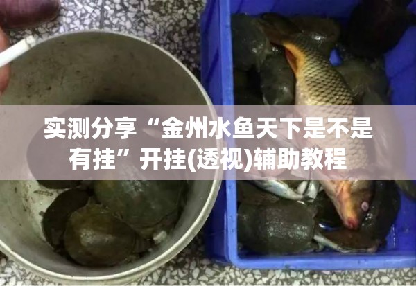 实测分享“金州水鱼天下是不是有挂”开挂(透视)辅助教程