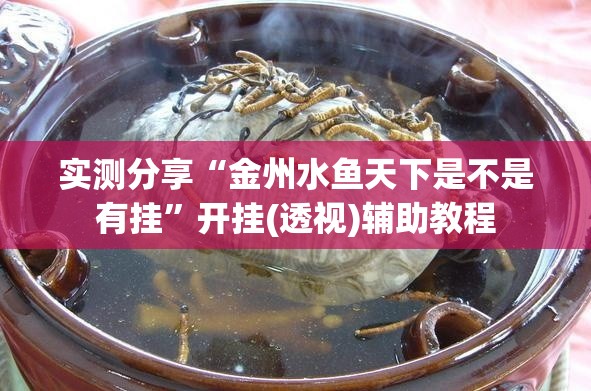 实测分享“金州水鱼天下是不是有挂”开挂(透视)辅助教程