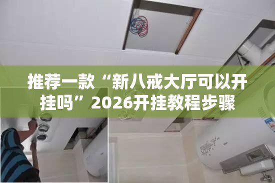 推荐一款“新八戒大厅可以开挂吗	”2026开挂教程步骤