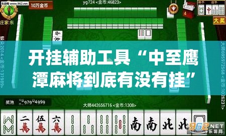 开挂辅助工具“中至鹰潭麻将到底有没有挂”(透视)其实确实有挂