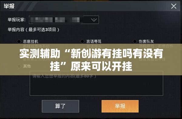 实测辅助“新创游有挂吗有没有挂”原来可以开挂