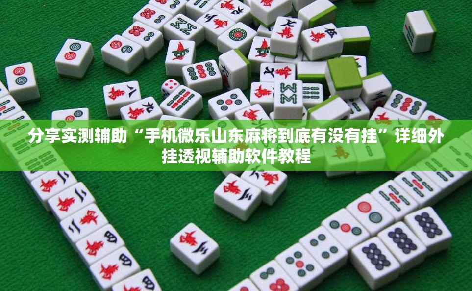 分享实测辅助“手机微乐山东麻将到底有没有挂”详细外挂透视辅助软件教程