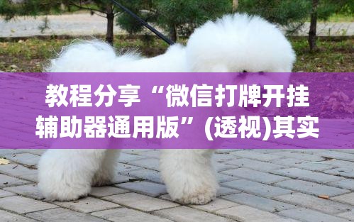 教程分享“微信打牌开挂辅助器通用版”(透视)其实确实有挂