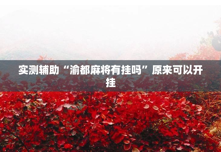 实测辅助“渝都麻将有挂吗”原来可以开挂