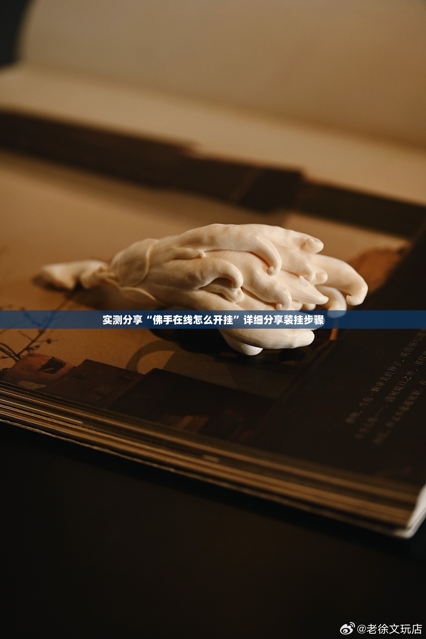 实测分享“佛手在线怎么开挂”详细分享装挂步骤