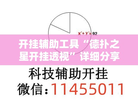 开挂辅助工具“德扑之星开挂透视”详细分享装挂步骤