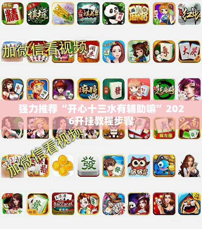 强力推荐“开心十三水有辅助嘛”2026开挂教程步骤