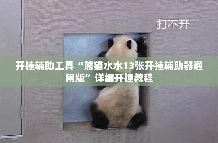 开挂辅助工具“熊猫水水13张开挂辅助器通用版”详细开挂教程