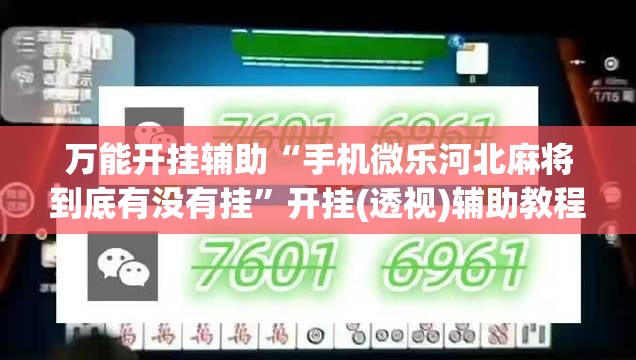 万能开挂辅助“手机微乐河北麻将到底有没有挂”开挂(透视)辅助教程