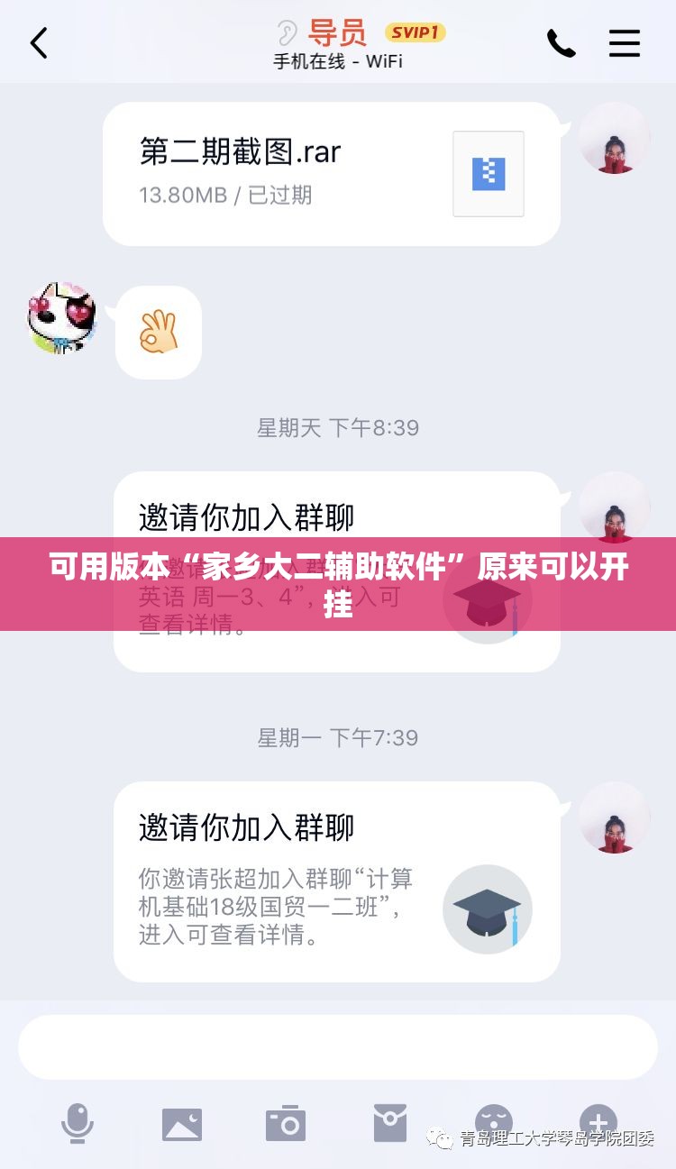 可用版本“家乡大二辅助软件”原来可以开挂