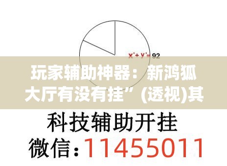 玩家辅助神器：新鸿狐大厅有没有挂”(透视)其实确实有挂
