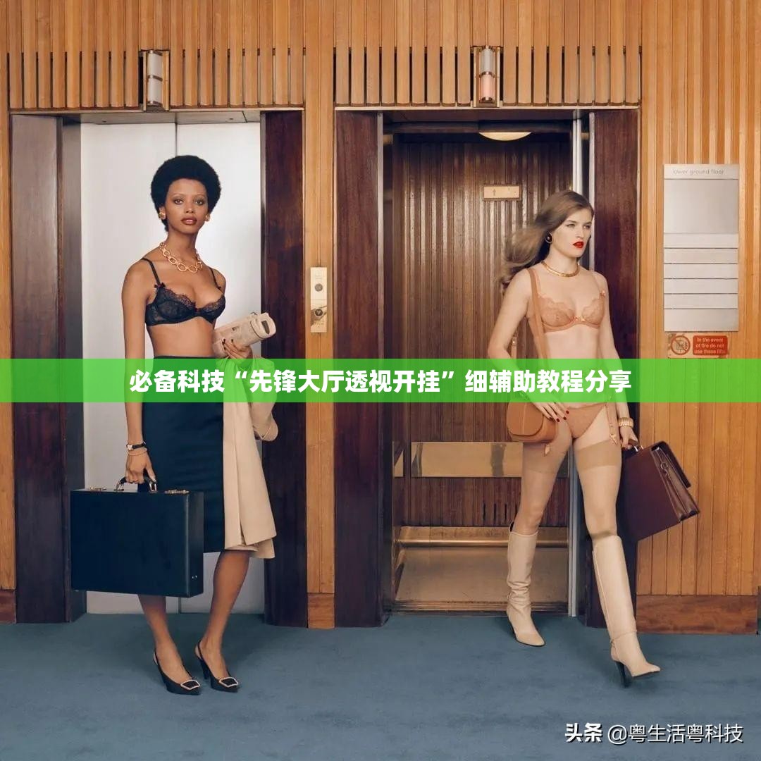 必备科技“先锋大厅透视开挂”细辅助教程分享
