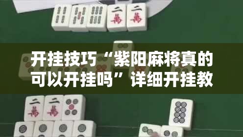 开挂技巧“紫阳麻将真的可以开挂吗”详细开挂教程