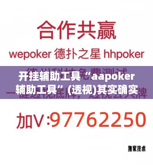开挂辅助工具“aapoker辅助工具”(透视)其实确实有挂