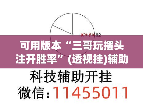 可用版本“三哥玩摆头注开胜率	”(透视挂)辅助下载教程