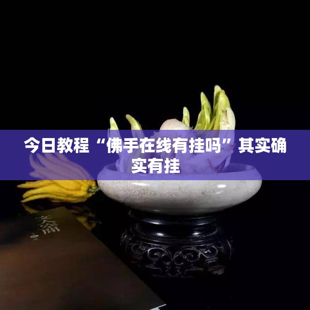 今日教程“佛手在线有挂吗”其实确实有挂