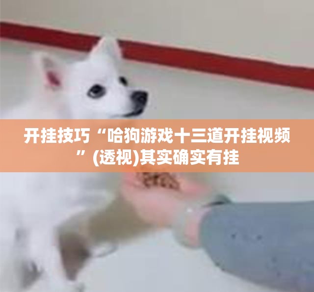开挂技巧“哈狗游戏十三道开挂视频	”(透视)其实确实有挂