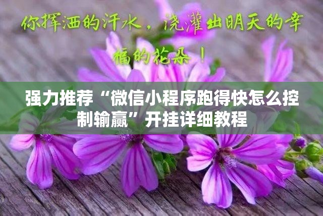 强力推荐“微信小程序跑得快怎么控制输赢”开挂详细教程