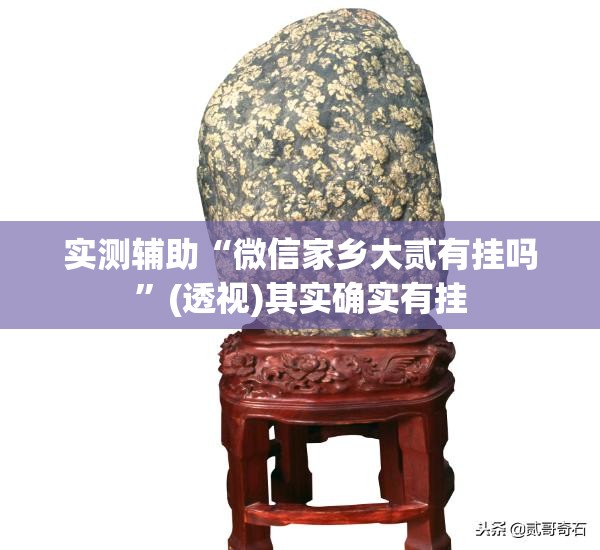实测辅助“微信家乡大贰有挂吗”(透视)其实确实有挂