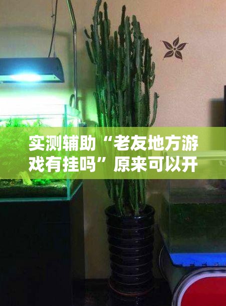 实测辅助“老友地方游戏有挂吗”原来可以开挂