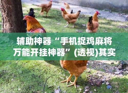 辅助神器“手机捉鸡麻将万能开挂神器”(透视)其实确实有挂