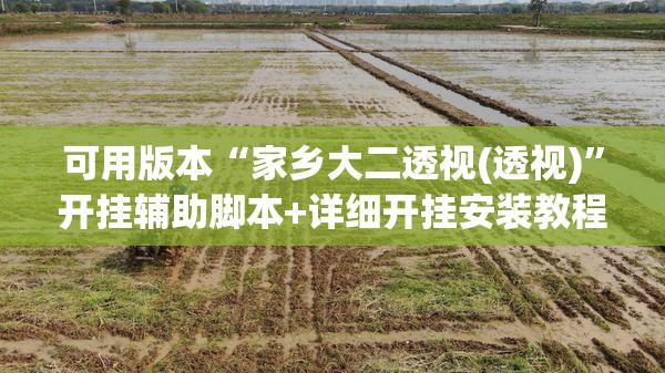 可用版本“家乡大二透视(透视)	”开挂辅助脚本+详细开挂安装教程