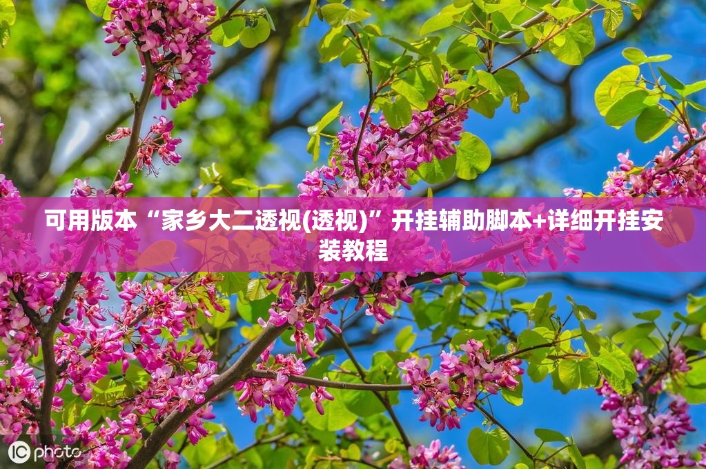 可用版本“家乡大二透视(透视)”开挂辅助脚本+详细开挂安装教程