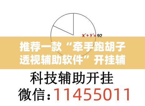 推荐一款“牵手跑胡子透视辅助软件”开挂辅助脚本+详细开挂安装教程