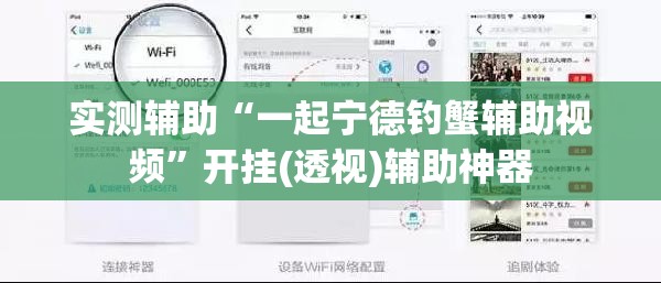 实测辅助“一起宁德钓蟹辅助视频”开挂(透视)辅助神器